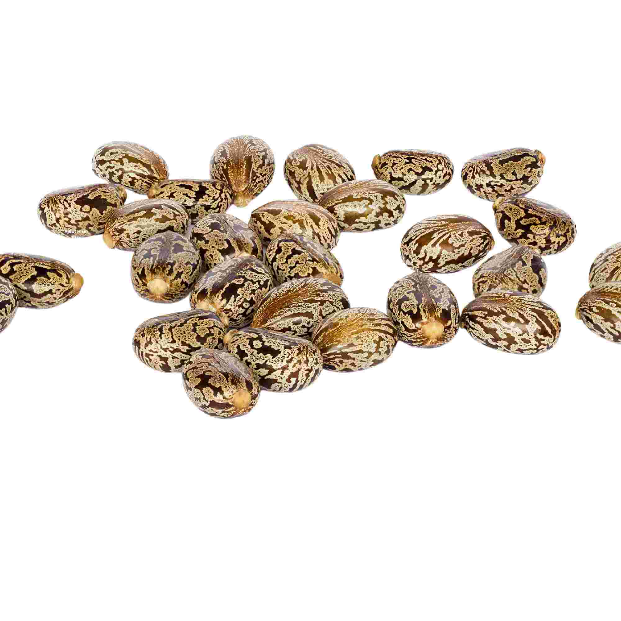 Castor oil: properties and benefits  Silkbiotic